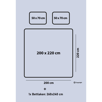 Bettw&auml;sche 200x220 cm. 4 teilig Set. Rosa Blumen Muster, 100% Baumwolle/Renforc&eacute;, 2 mal Kopfkissenbezuge 50x70 cm. mit bettlaken, Mayra V2